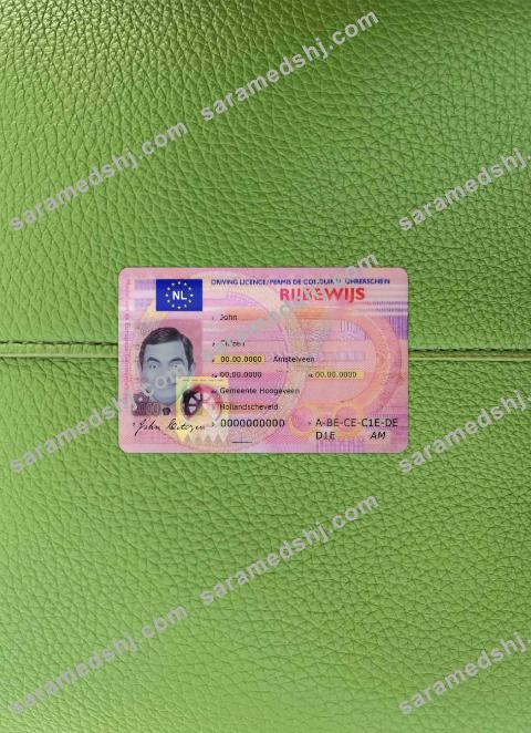 Netherlands driving license photolook FRONT